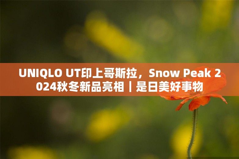 UNIQLO UT印上哥斯拉，Snow Peak 2024秋冬新品亮相｜是日美好事物