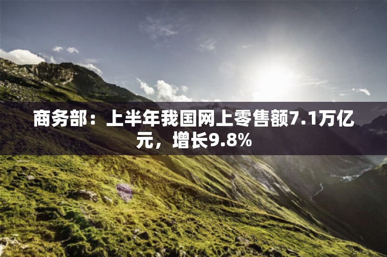 商务部：上半年我国网上零售额7.1万亿元，增长9.8%