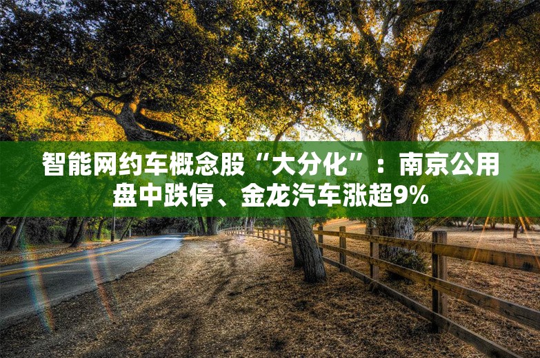 智能网约车概念股“大分化”：南京公用盘中跌停、金龙汽车涨超9%