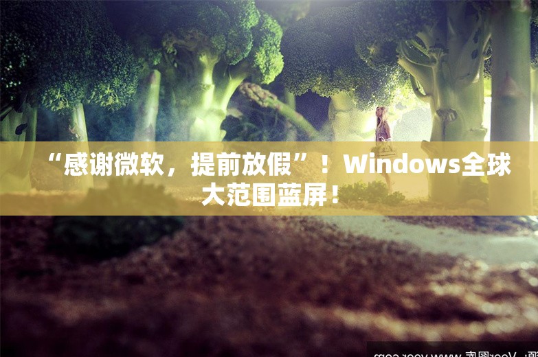 “感谢微软，提前放假”！Windows全球大范围蓝屏！