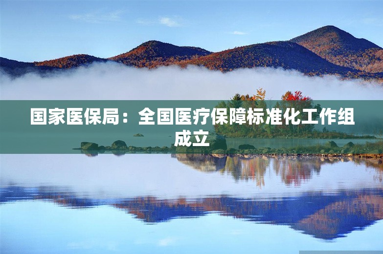 国家医保局：全国医疗保障标准化工作组成立