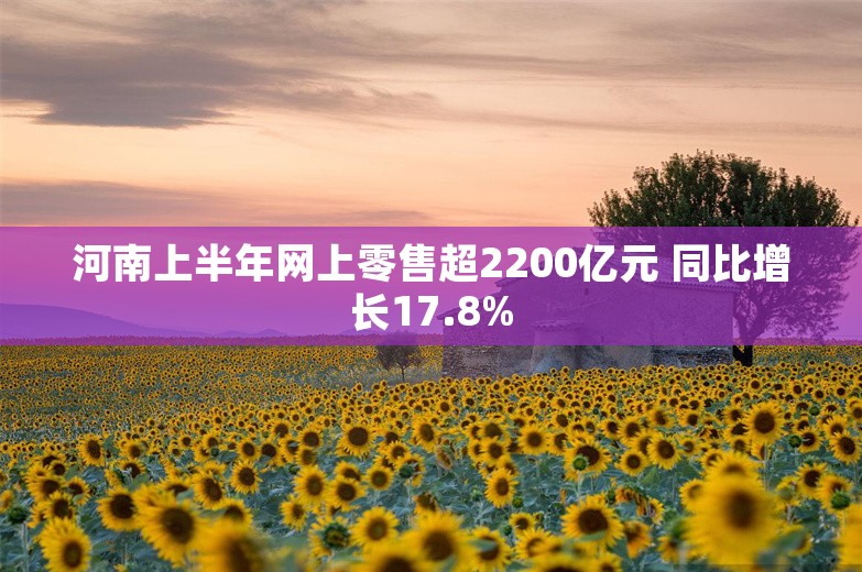 河南上半年网上零售超2200亿元 同比增长17.8%