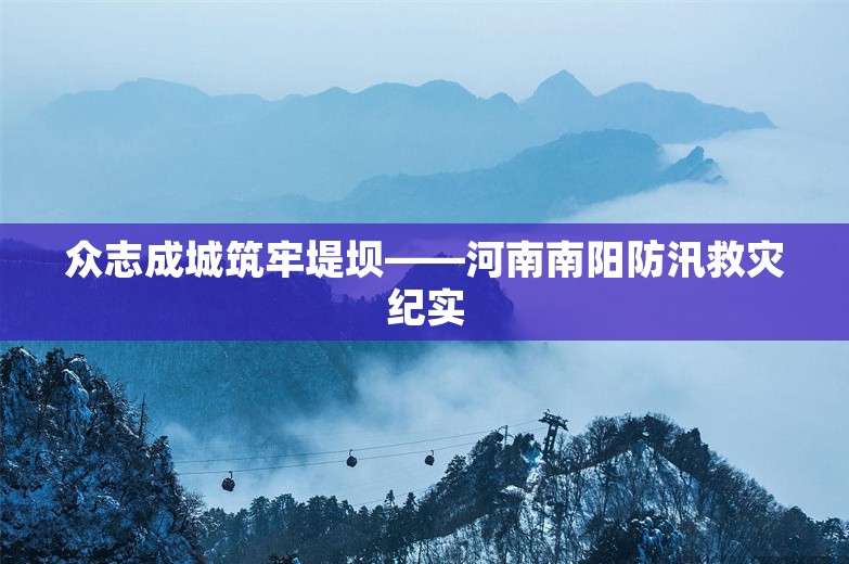 众志成城筑牢堤坝——河南南阳防汛救灾纪实