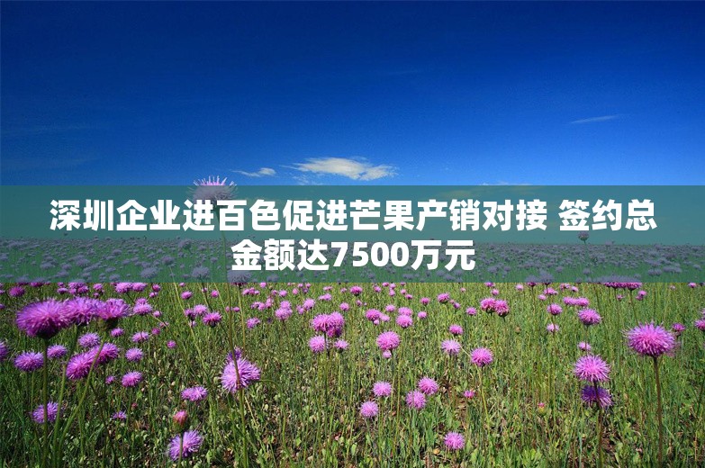 深圳企业进百色促进芒果产销对接 签约总金额达7500万元