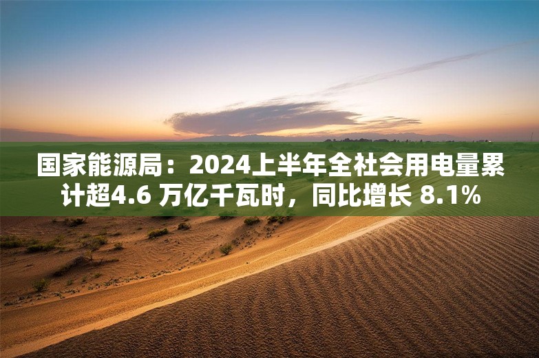 国家能源局：2024上半年全社会用电量累计超4.6 万亿千瓦时，同比增长 8.1%