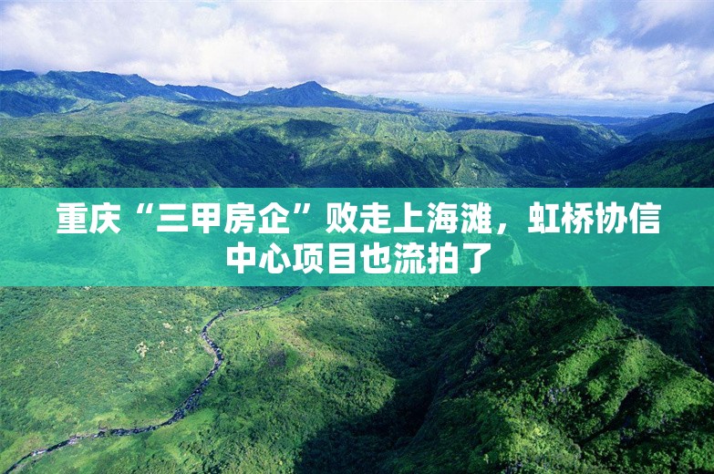 重庆“三甲房企”败走上海滩，虹桥协信中心项目也流拍了