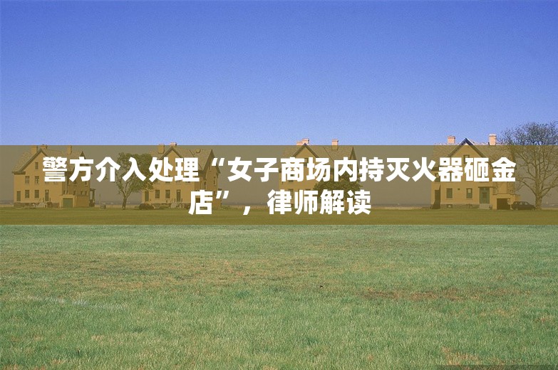 警方介入处理“女子商场内持灭火器砸金店”，律师解读