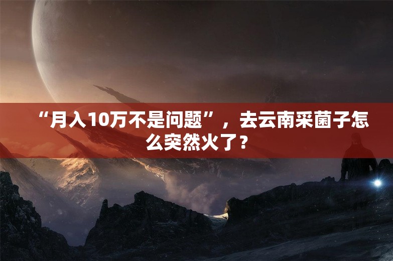 “月入10万不是问题”，去云南采菌子怎么突然火了？