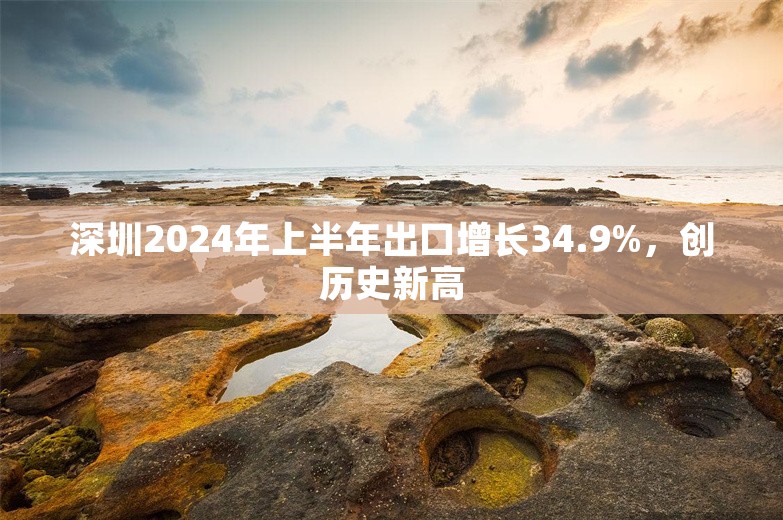 深圳2024年上半年出口增长34.9%，创历史新高