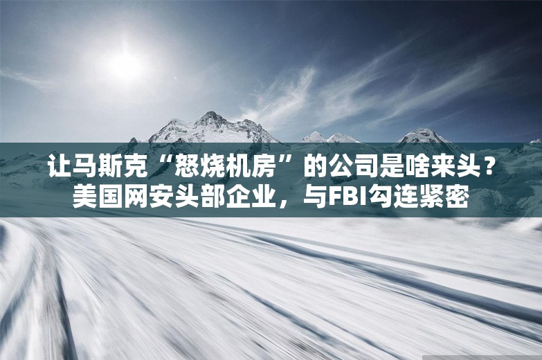 让马斯克“怒烧机房”的公司是啥来头？美国网安头部企业，与FBI勾连紧密