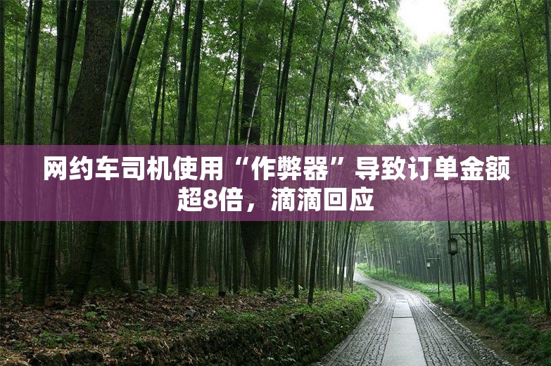 网约车司机使用“作弊器”导致订单金额超8倍，滴滴回应