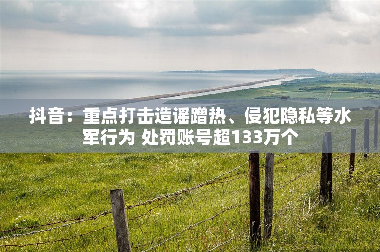 抖音：重点打击造谣蹭热、侵犯隐私等水军行为 处罚账号超133万个