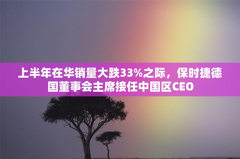 上半年在华销量大跌33%之际，保时捷德国董事会主席接任中国区CEO