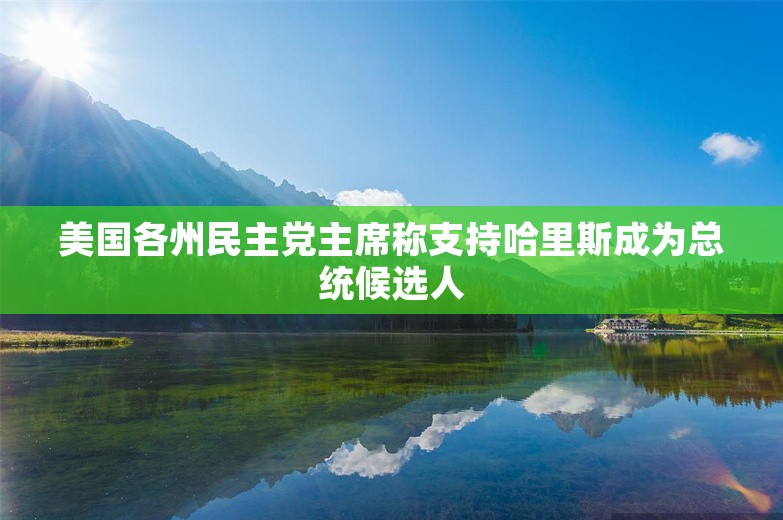 美国各州民主党主席称支持哈里斯成为总统候选人