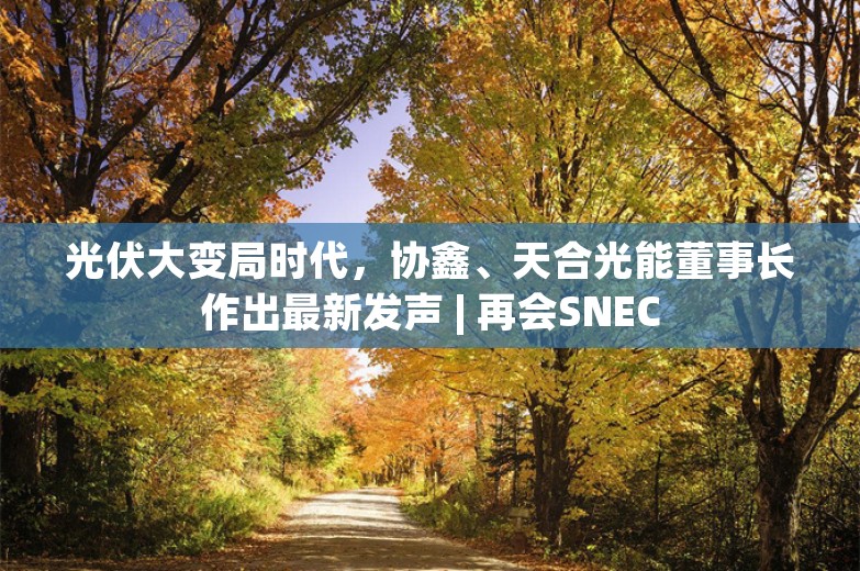 光伏大变局时代，协鑫、天合光能董事长作出最新发声 | 再会SNEC