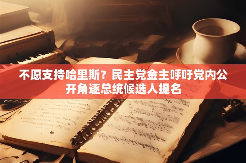 不愿支持哈里斯？民主党金主呼吁党内公开角逐总统候选人提名