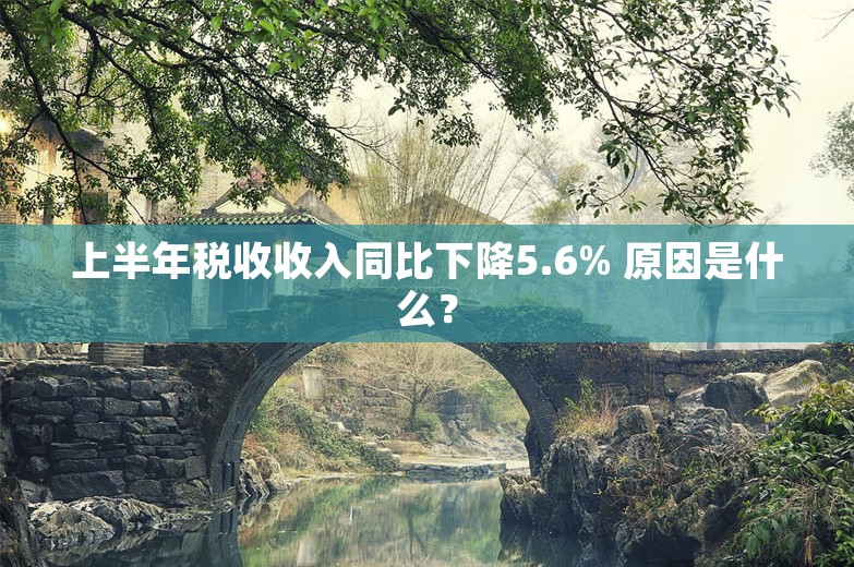 上半年税收收入同比下降5.6% 原因是什么？