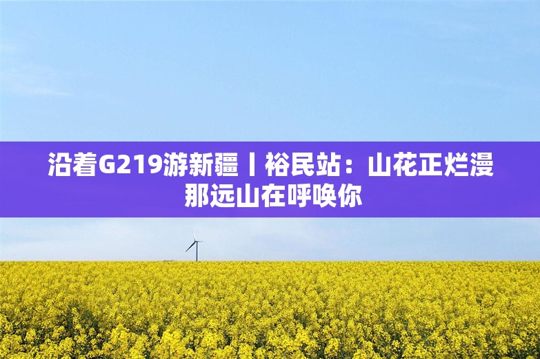 沿着G219游新疆丨裕民站：山花正烂漫 那远山在呼唤你