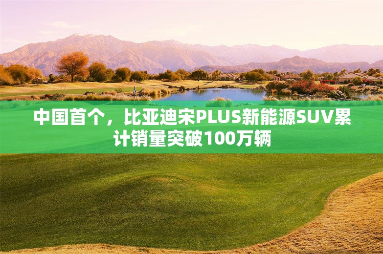 中国首个，比亚迪宋PLUS新能源SUV累计销量突破100万辆