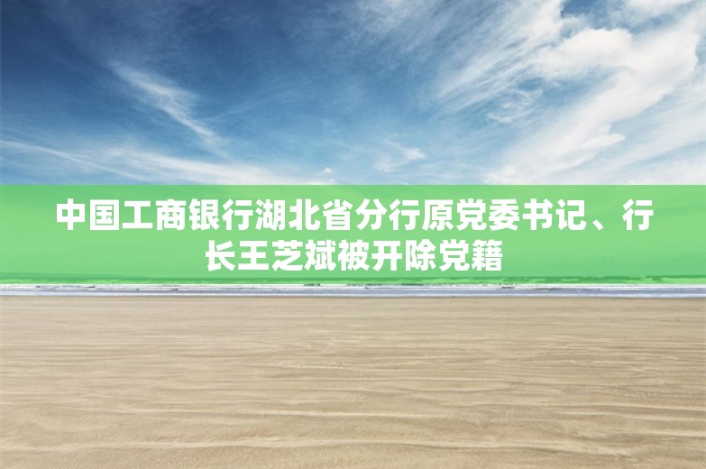 中国工商银行湖北省分行原党委书记、行长王芝斌被开除党籍