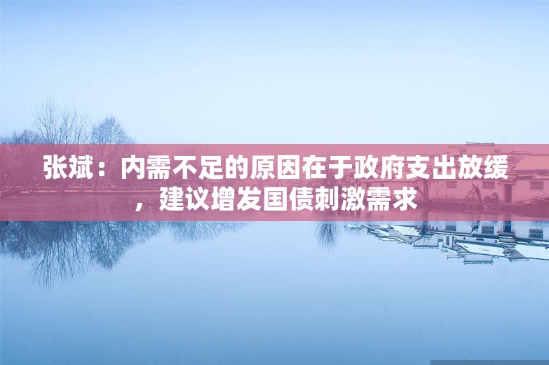 张斌：内需不足的原因在于政府支出放缓，建议增发国债刺激需求