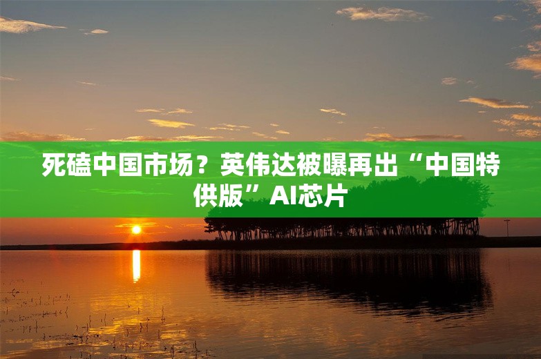 死磕中国市场？英伟达被曝再出“中国特供版”AI芯片