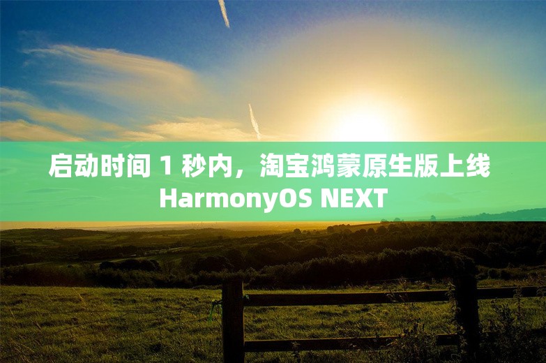 启动时间 1 秒内，淘宝鸿蒙原生版上线 HarmonyOS NEXT