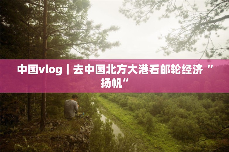 中国vlog｜去中国北方大港看邮轮经济“扬帆”