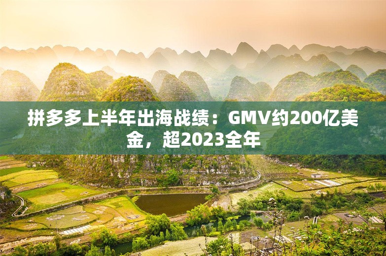 拼多多上半年出海战绩：GMV约200亿美金，超2023全年